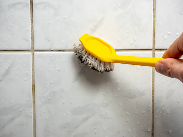 Best Black Mold Removal  in Buckhorn, CA