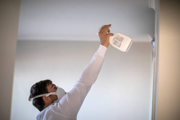 Best Local Mold Removal Service  in Buckhorn, CA