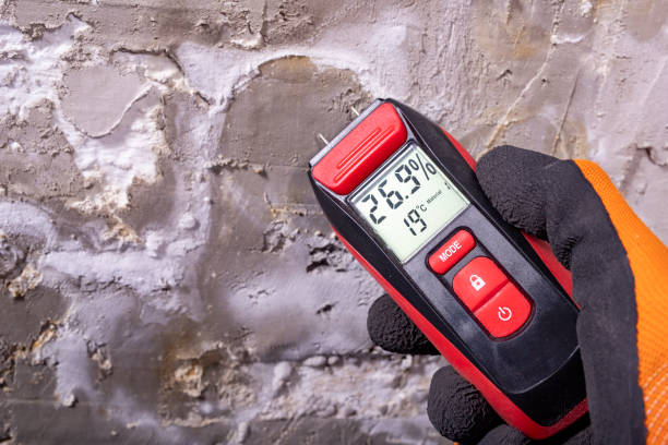 Best Mold Inspection  in Buckhorn, CA