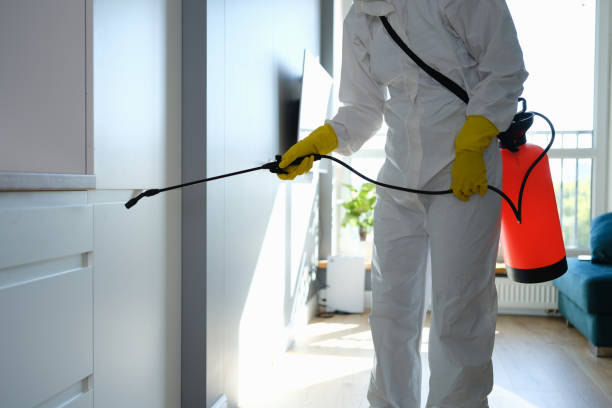 Best Fast Mold Removal  in Buckhorn, CA