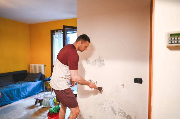 Best Mold Testing and Removal  in Buckhorn, CA