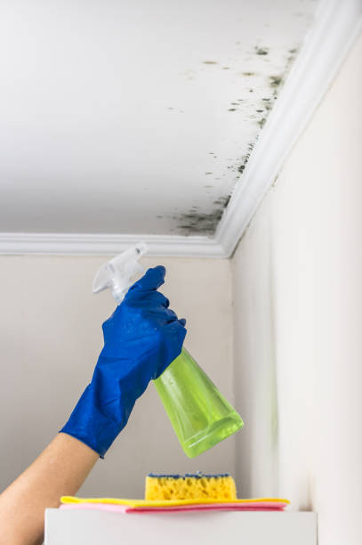 Best Crawl Space Mold Removal  in Buckhorn, CA